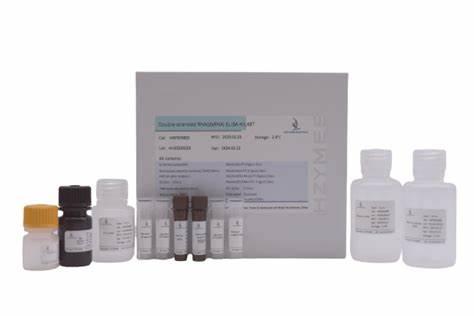 dsRNA ELISA kit 96T